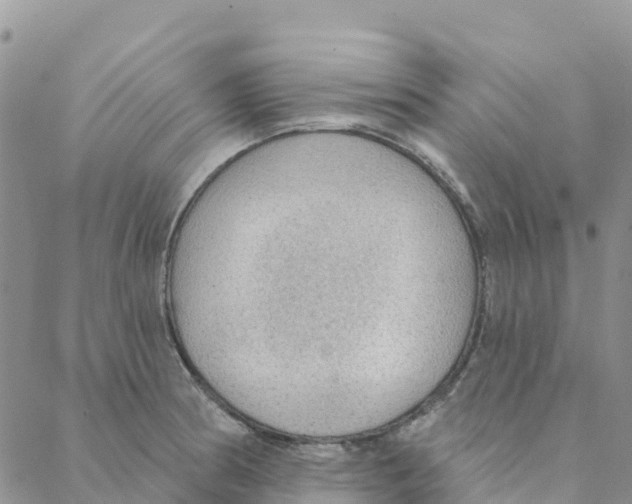 X0000088181186200706121643