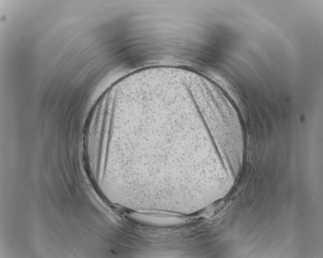 X0000088181187200706121643