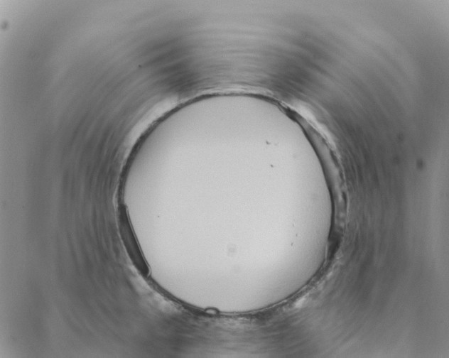 X0000088181189200706121643