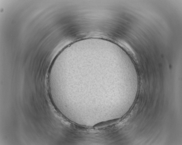 X0000088181190200706121643