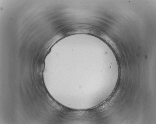 X0000088181193200706121643