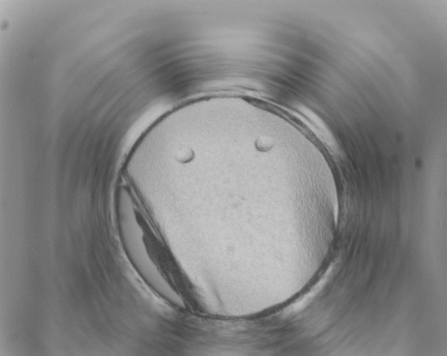 X0000088181196200706121643