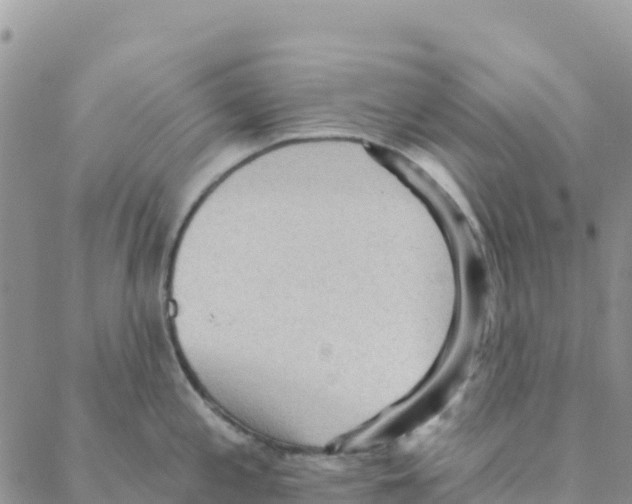 X0000088181197200706121643