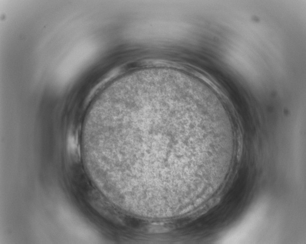 X0000088181198200706121643