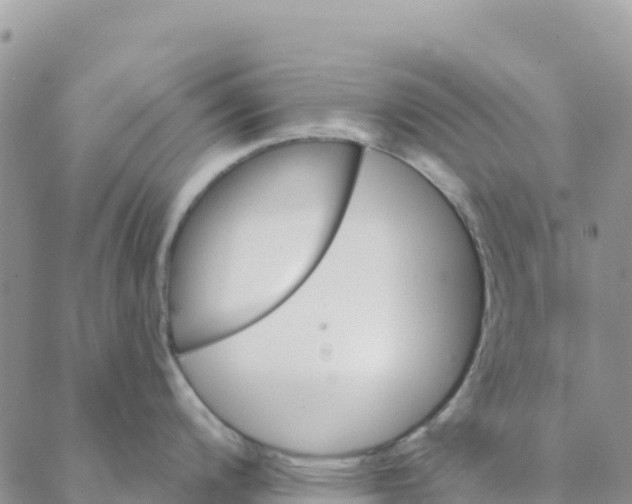 X0000088181200200706121643