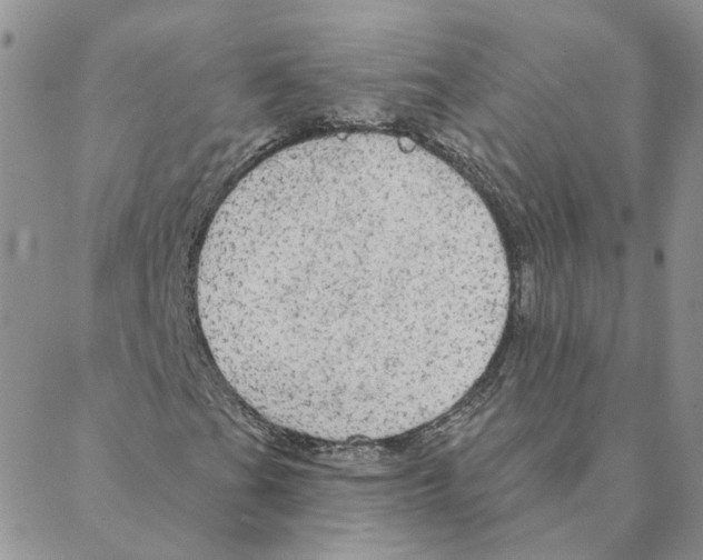 X0000088181201200706121642