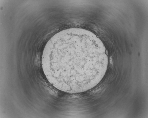 X0000088181203200706121642