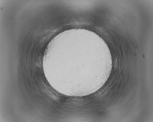 X0000088181204200706121642