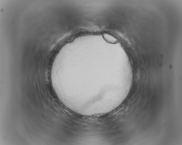 X0000088181205200706121642