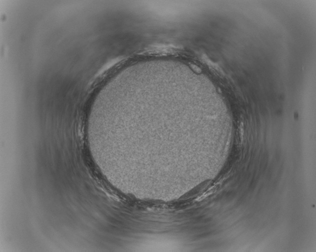 X0000088181206200706121642