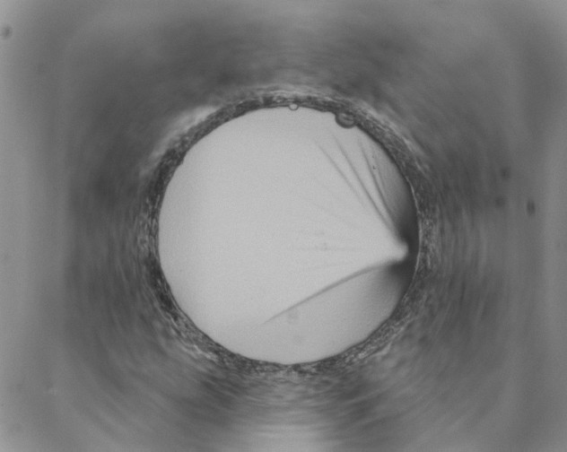 X0000088181207200706121642