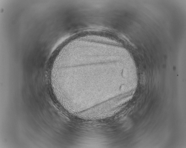 X0000088181208200706121642