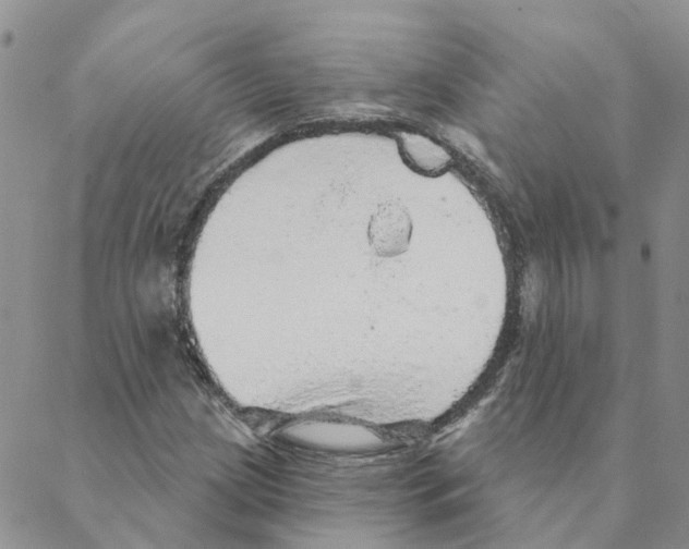 X0000088181209200706121642