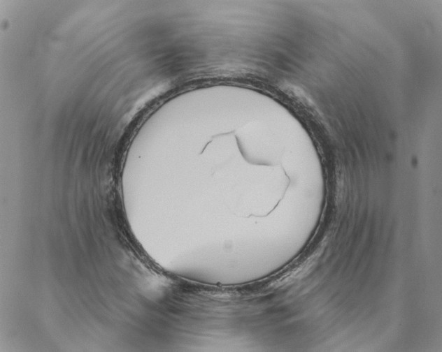 X0000088181210200706121642