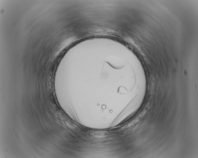 X0000088181211200706121642