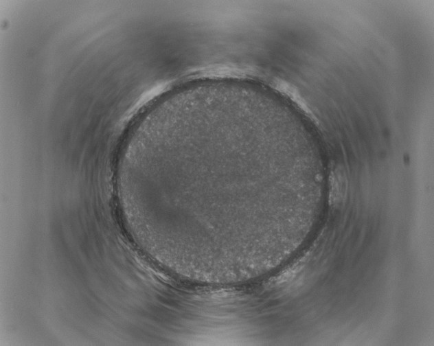 X0000088181213200706121642