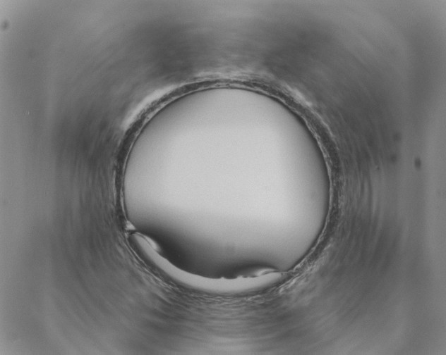 X0000088181214200706121642