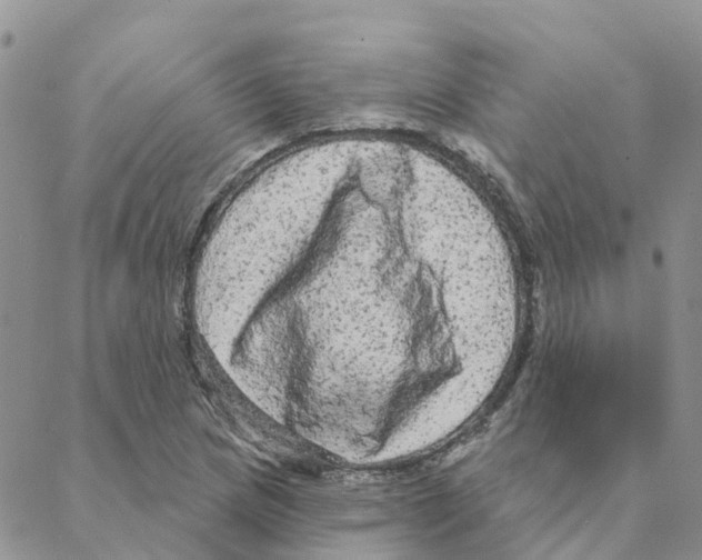 X0000088181217200706121642