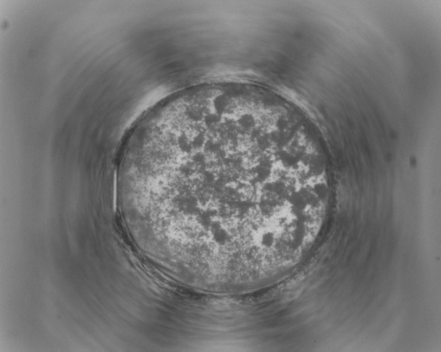 X0000088181219200706121643