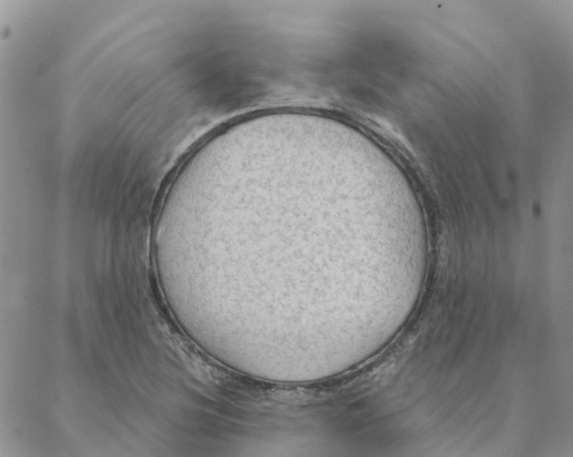 X0000088181220200706121643