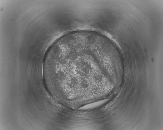 X0000088181221200706121643