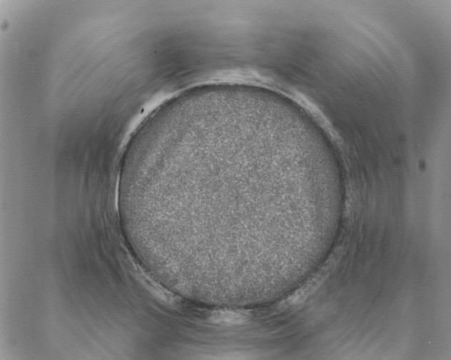 X0000088181224200706121643