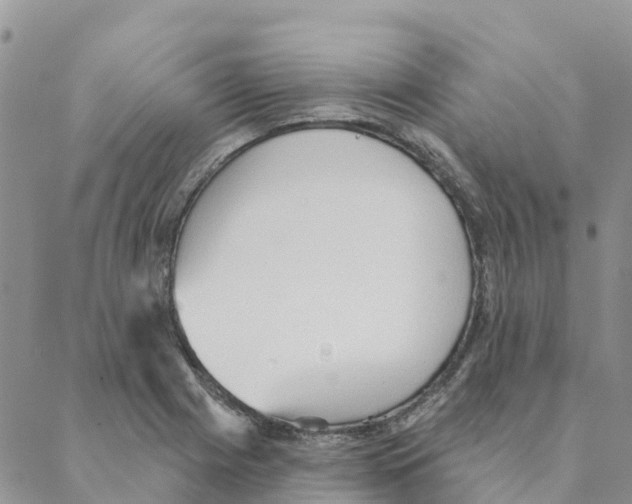 X0000088181225200706121643