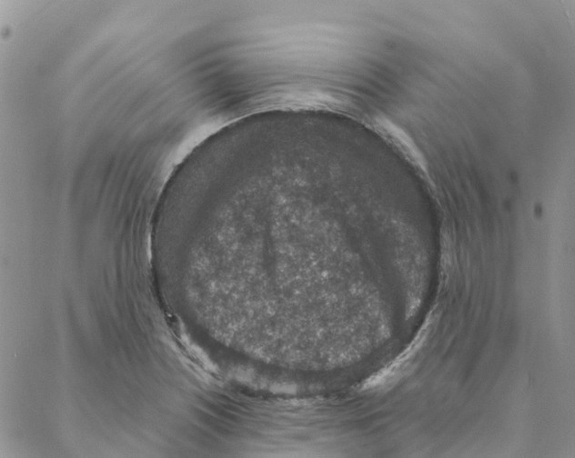 X0000088181226200706121643