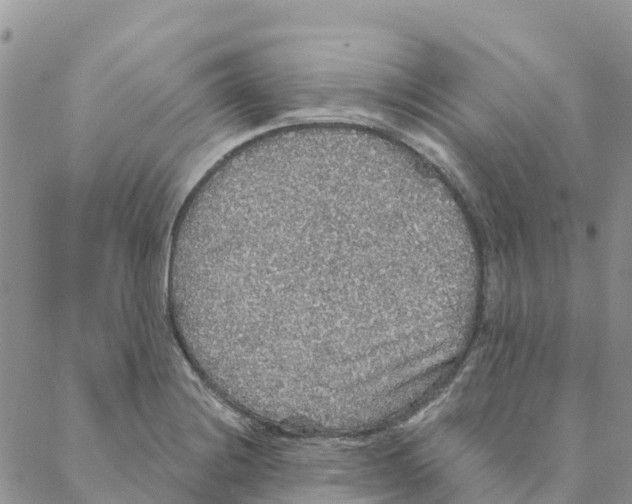 X0000088181228200706121643