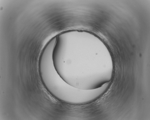 X0000088181230200706121643