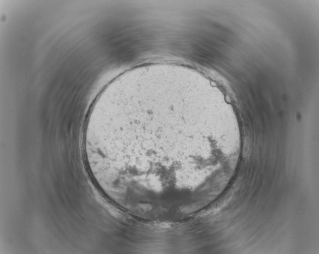 X0000088181231200706121643