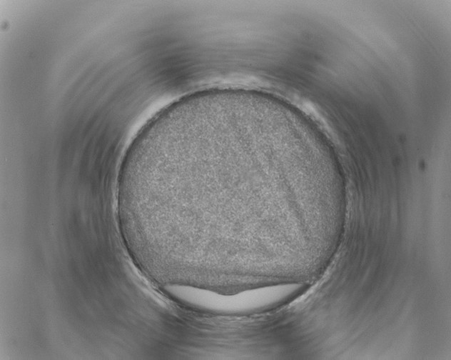 X0000088181232200706121643