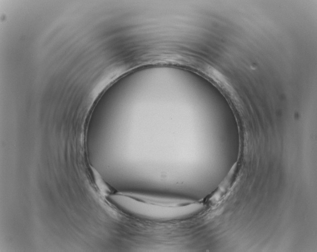 X0000088181234200706121643