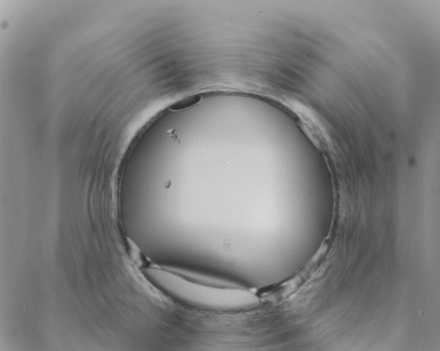 X0000088181238200706121643