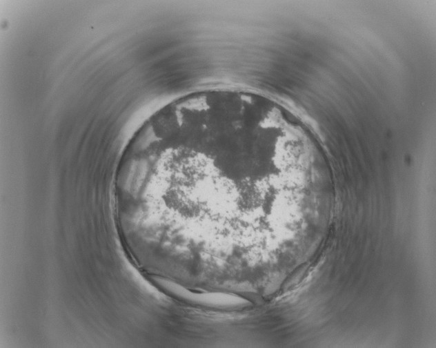 X0000088181239200706121643