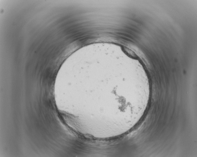 X0000088181241200706121643