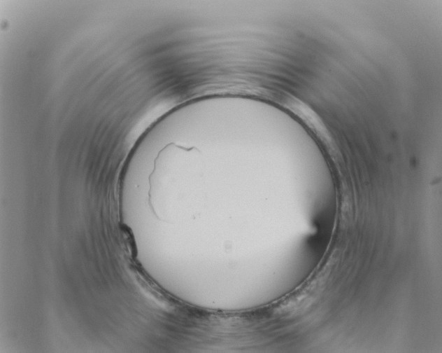 X0000088181242200706121643