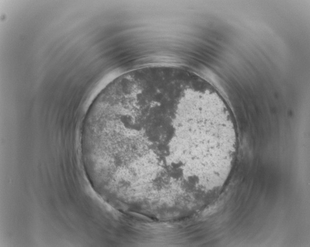 X0000088181243200706121643