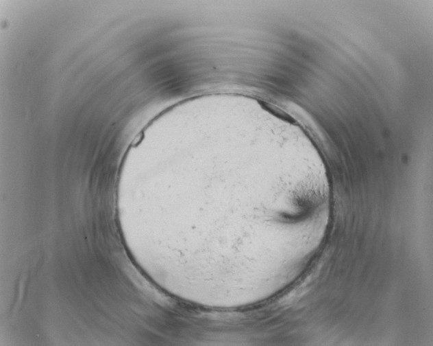 X0000088181244200706121643