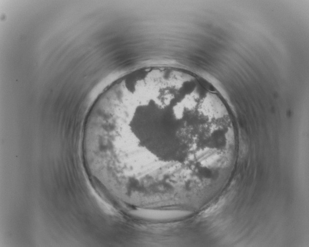 X0000088181245200706121643