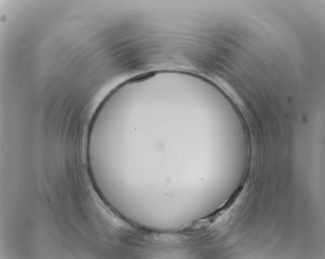 X0000088181246200706121643