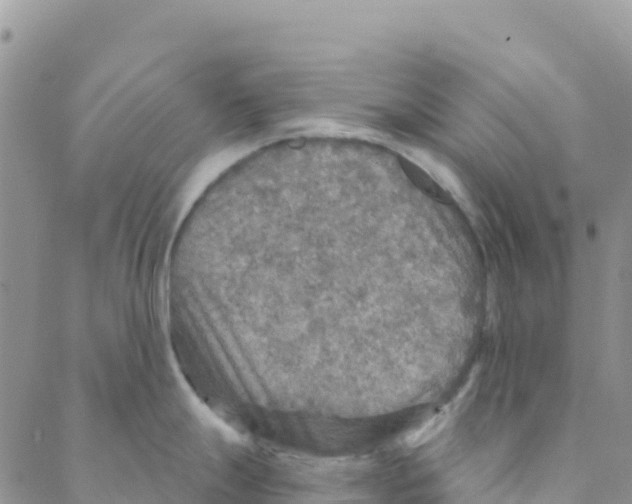 X0000088181247200706121643