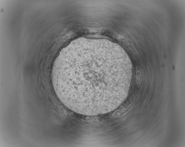 X0000088181249200706121642