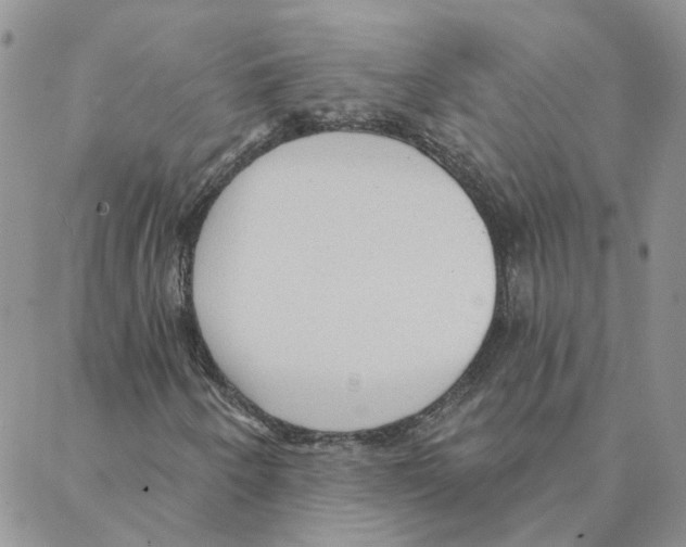 X0000088181250200706121642