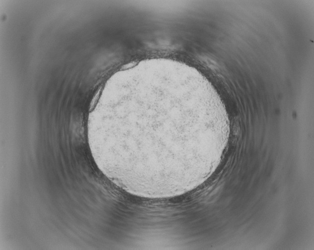 X0000088181252200706121642