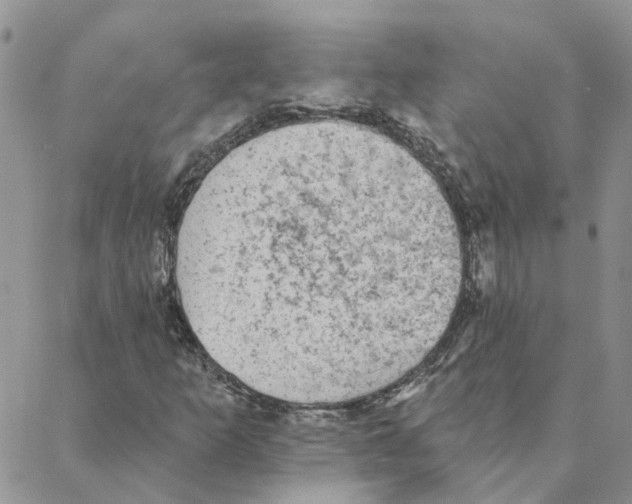 X0000088181253200706121642