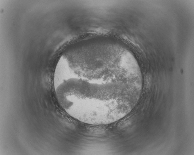 X0000088181254200706121642