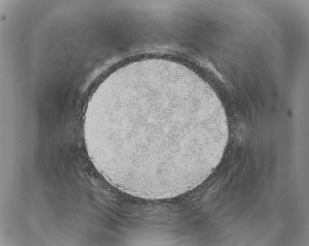 X0000088181256200706121642