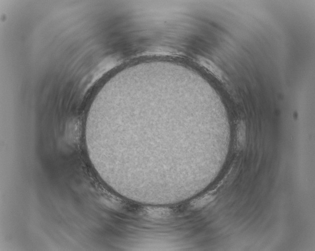 X0000088181258200706121642