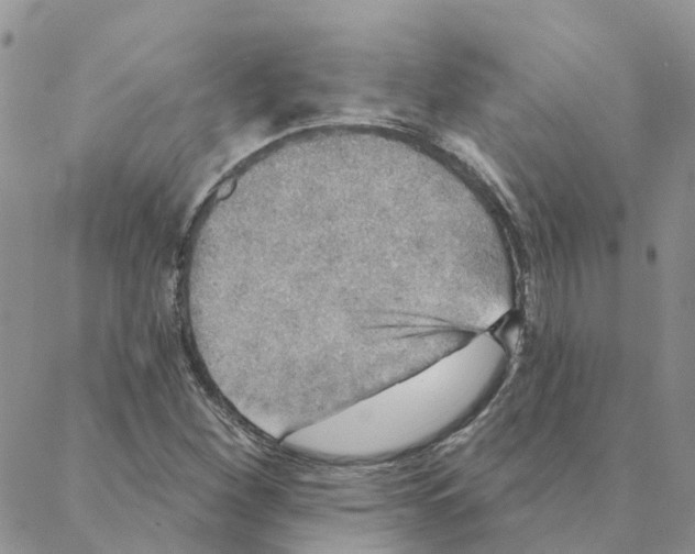 X0000088181260200706121642